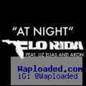 Flo Rida - At Night Ft. Liz Elias & Akon